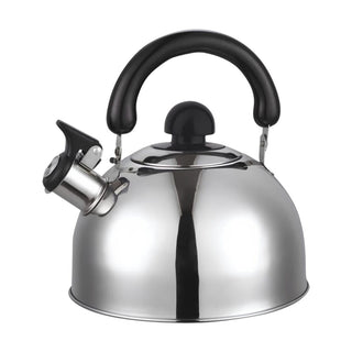 Ceainic din inox cu fluier HAUSBERG HB-H465IN, pentru Plita gaz, ceramica, electrica & inductie, Capacitate 2L