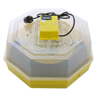 Incubator electric oua (clocitoare) cu termometru Cleo 5T, 230 V, 60 oua capacitate, 38°C temperatura incubare