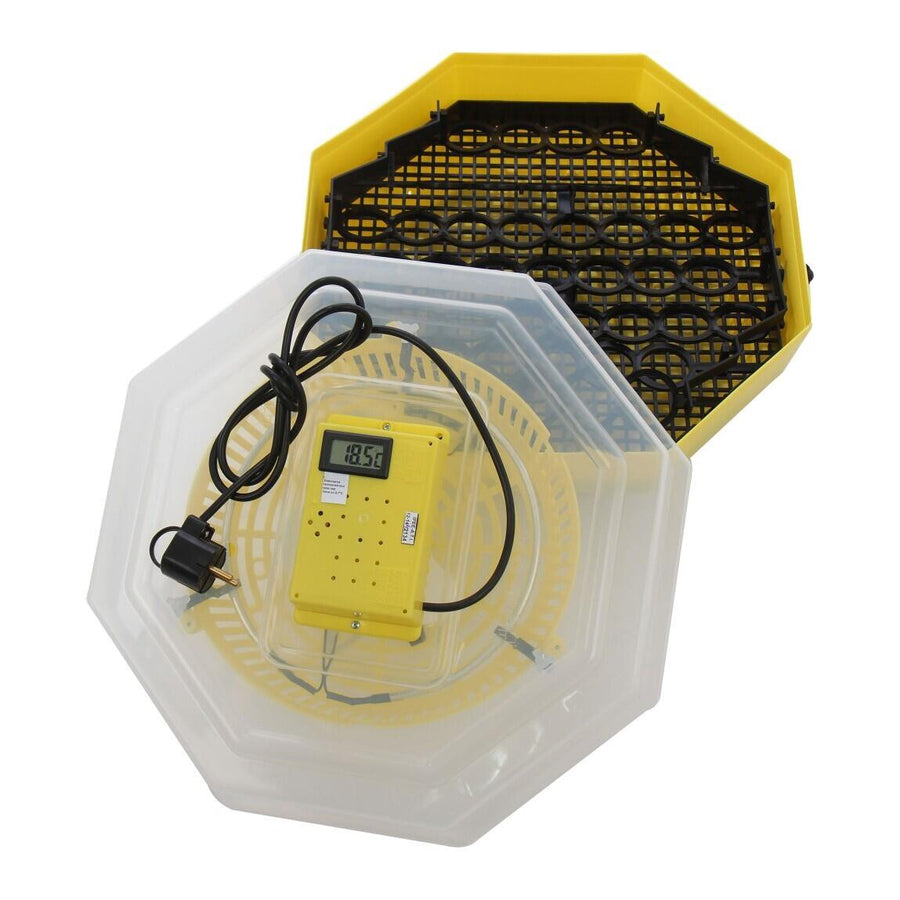 Incubator electric oua (clocitoare) cu dispozitiv de intoarcere si termometru Cleo 5DT, 230 V, 41 oua capacitate, 38°C temperatura incubare