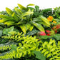 Panou Verde Decorativ din Plante Mixte Artificiale 60x40 cm Perete Verde Interior