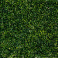 Panou Verde Decorativ Artificial cu Frunze Mici 60x40 cm
