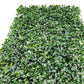 Panou Verde Decorativ Artificial cu Frunze Mici 60x40 cm